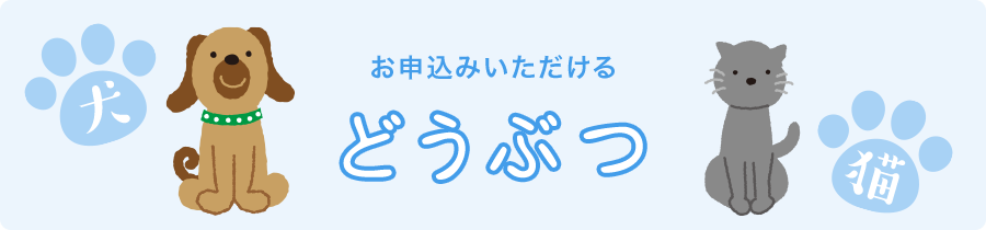 お申込みいただけるどうぶつと年齢　犬・猫　7歳11ヶ月まで