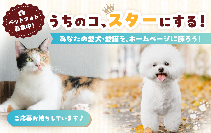 ペットフォト募集