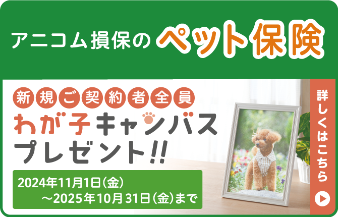 アニコム損保のペット保険
